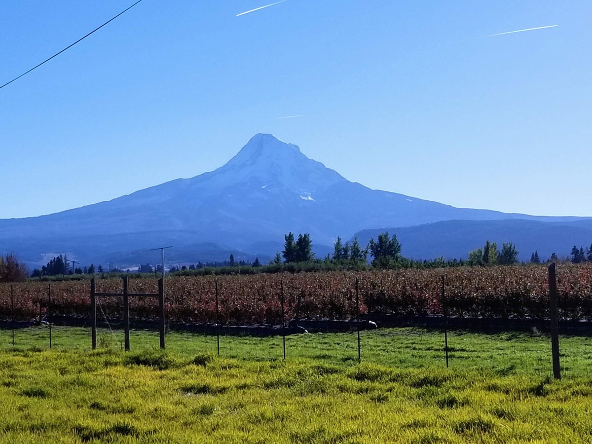 Mount Hood panorama